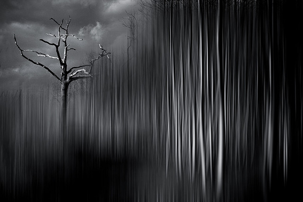 фотограф Chris Friel