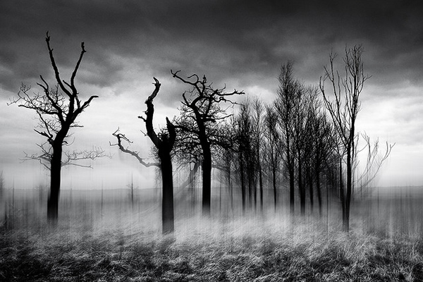 фотограф Chris Friel