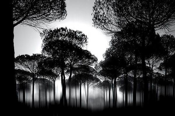 фотограф Chris Friel