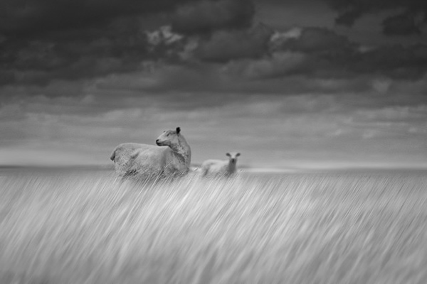 фотограф Chris Friel