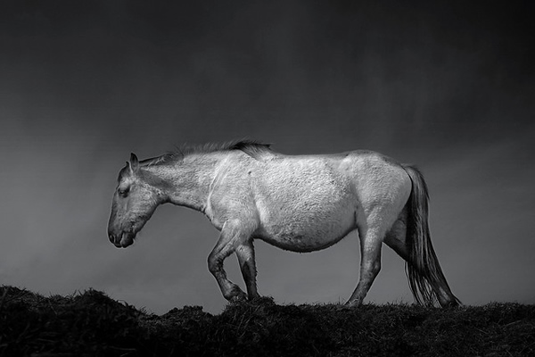 фотограф Chris Friel