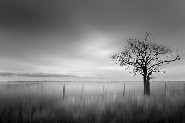 фотограф Chris Friel