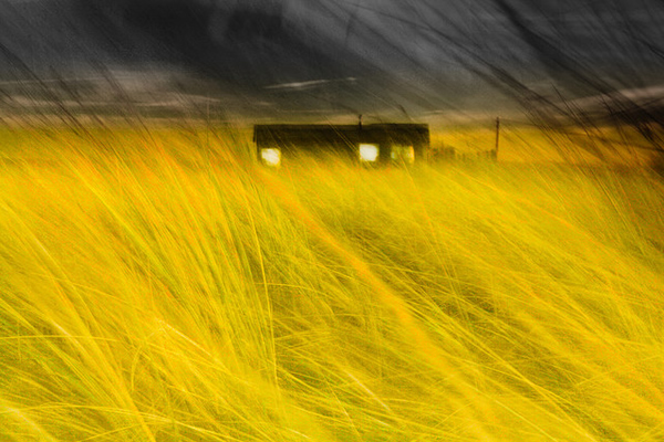 фотограф Chris Friel