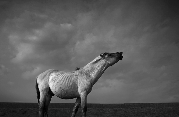 фотограф Chris Friel