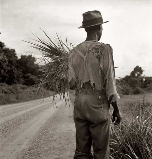 Июль 1936, сборщик хлопка около Виксберга, Миссисипи, фотограф: Доротея Ланж