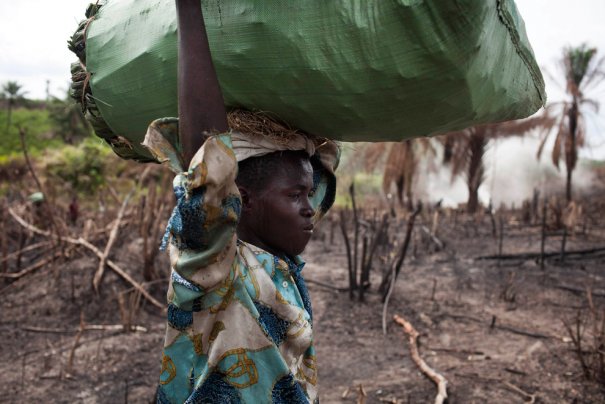 После пожара в восточной части Сьерра-Леоне, фото: Finbarr O'Reilly