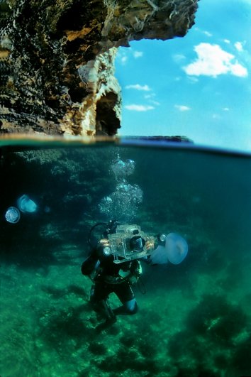 Какая аппаратура нужна, чтобы фотографировать под водой? - №4