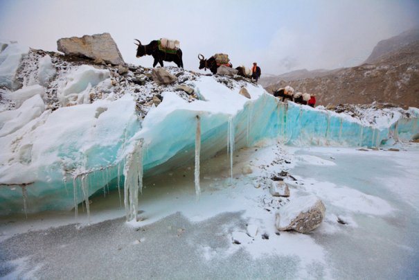 National Geographic переносит нас на самую высокую гору в мире - №12