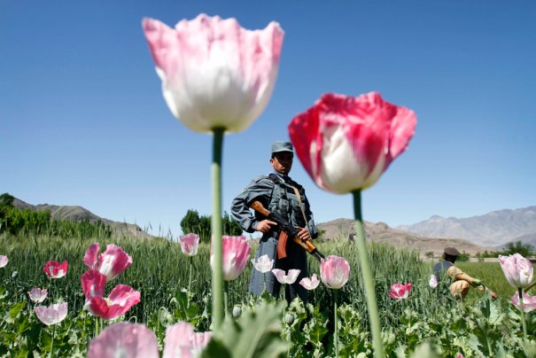 Афганистан. ФОТОхроники за апрель'12 - №15