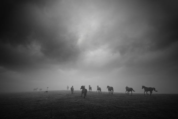 Leszek Paradowski