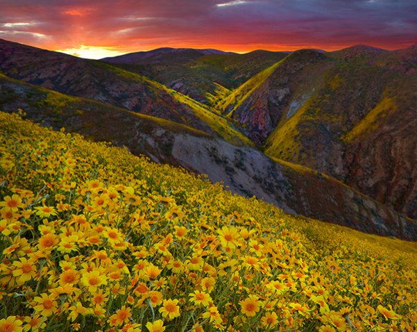 Carrizo Plain Canyon Sunset, California