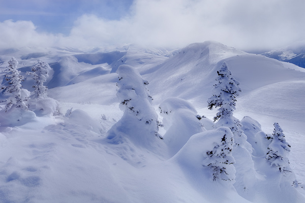 Garibaldi Provincial Park