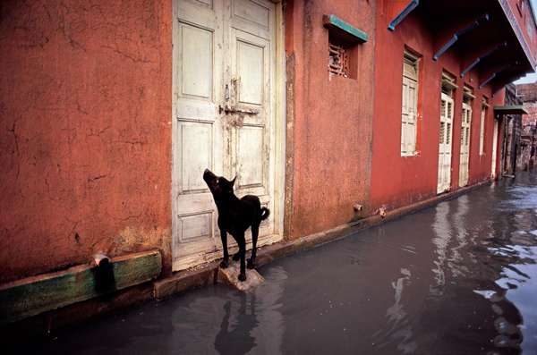 Steve McCurry