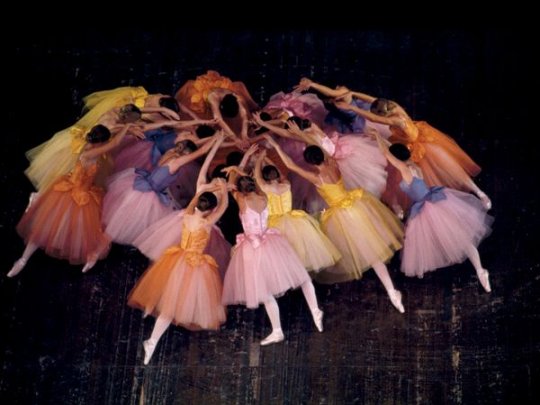 Балерины (фото:James L. Amos)