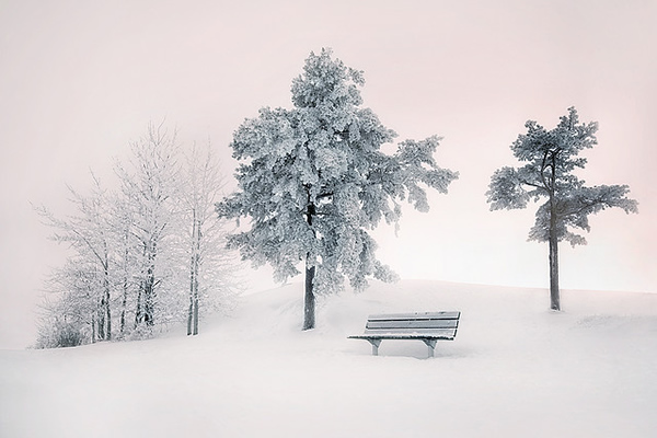 Mikko_Lagerstedt_06