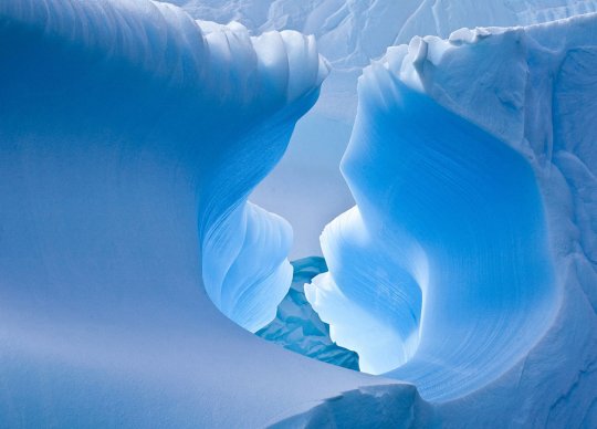 Синие пещеры, Антарктика(фото:Jamie Scarrow)