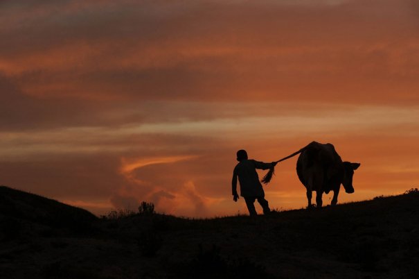 (Qais Usyan/AFP/Getty Images)