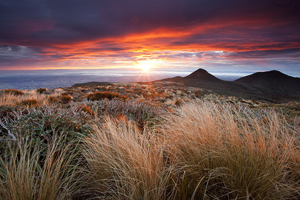 Эгмонт, Новая Зеландия. Обратите внимание на таинственные темные холмы, контрастирующие с теплыми тонами рассвета на остальной части пейзажа.