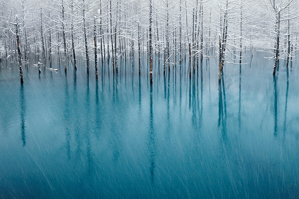 Kent Shiraishi