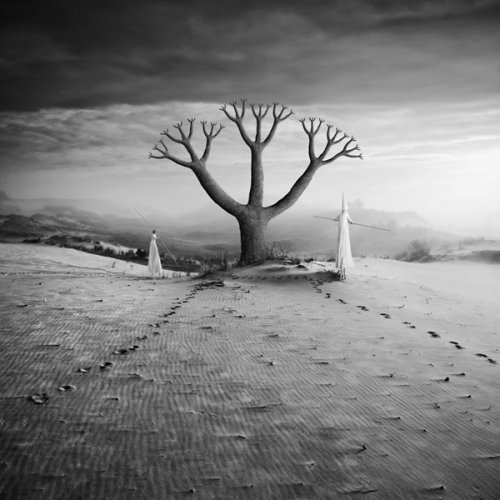 фото: Dariusz Klimczak