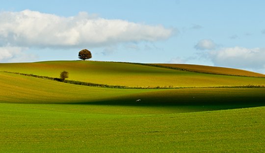 фото: Lars Klottrup