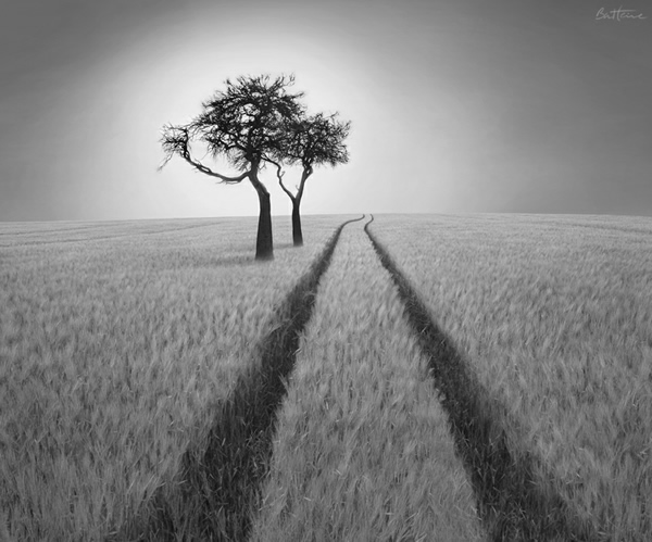 Ben Heine