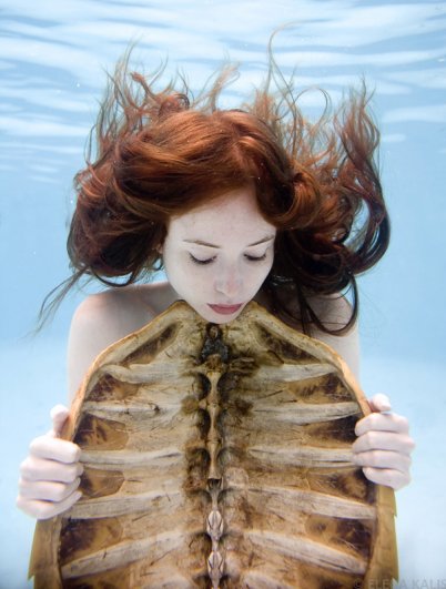 Подводная фотография Елены Калис - №23