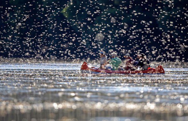 (Reuters/Laszlo Balogh)