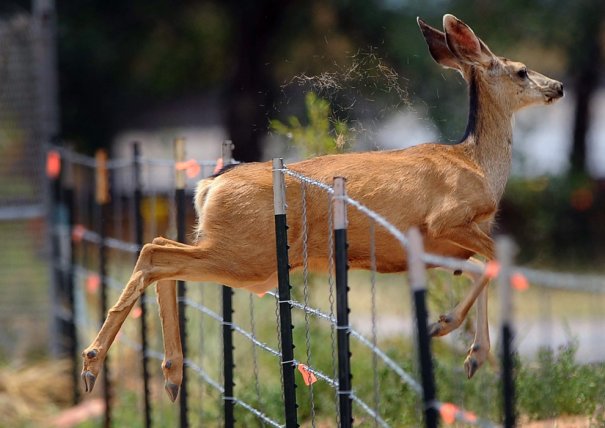 (Christian Murdock/The Colorado Springs Gazette/Associated Press)