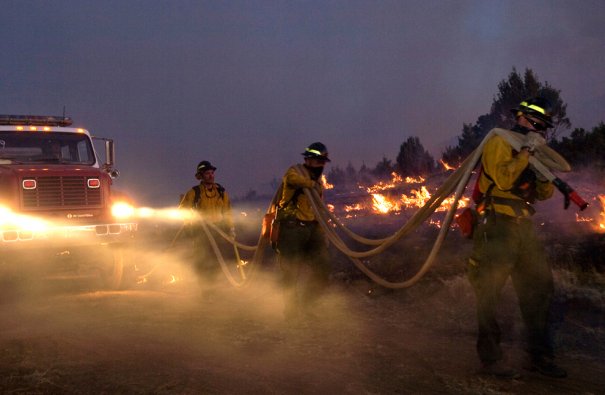 (Kari Greer/US Forest Service/Handout/Reuters)