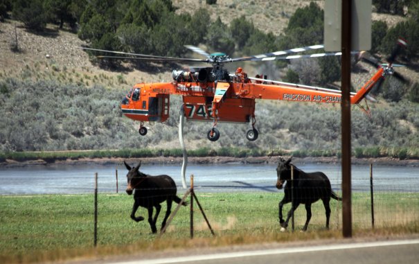 (Lynn DeBruin/Associated Press)