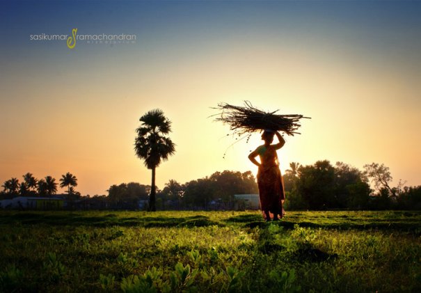 Талантливый индийский фотограф Сасикумар Рамачандран - №21