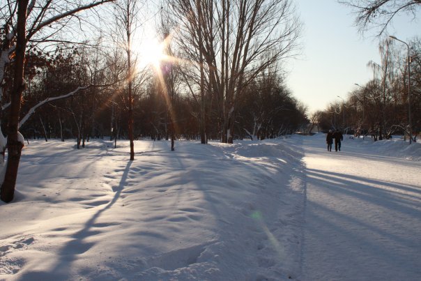 Городской парк