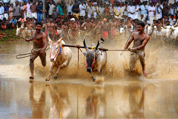 8 Zacharia Ponkunnam