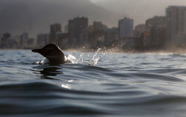 Reuters/Ricardo Moraes