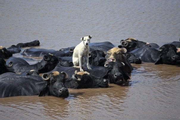 Mohsin Raza/Reuters