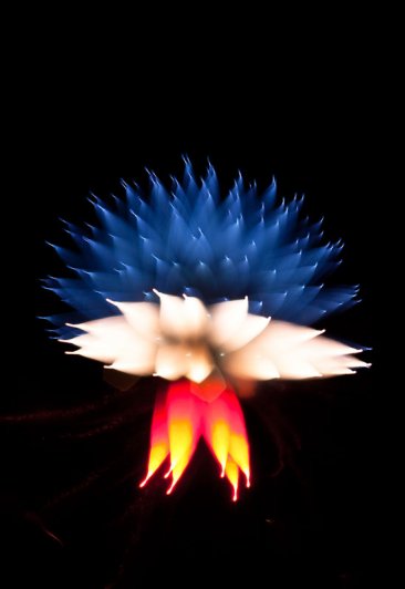 Long-Exposure-Fireworks-2