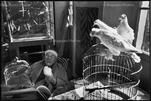 Франция. 1944. Французский художник Генри Матисс у себя дома. Henri Cartier-Bresson