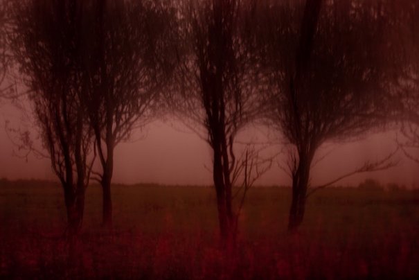 Фотограф Крис Фрель/Chris Friel - №17