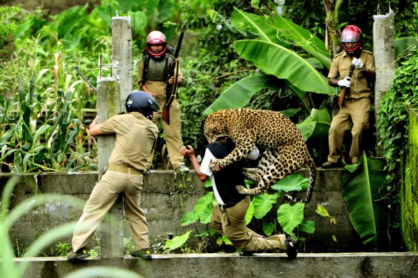 © Salil Bera/National Geographic Photo Contest