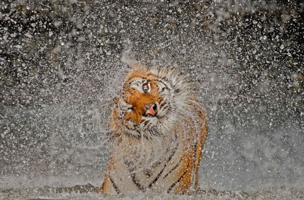 © Ashley Vincent/National Geographic Photo Contest