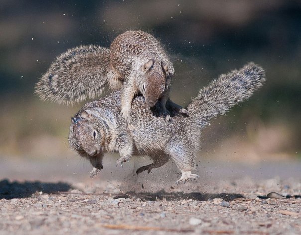 © Chih-Hung Kao/National Geographic Photo Contest