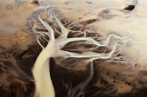 1. Река Хвиутау с ее странной палитрой красок и необычными пейзажами. Похоже на дерево. (Sandro Santioli, Solent News & Photo Agency) - "птичий полет"