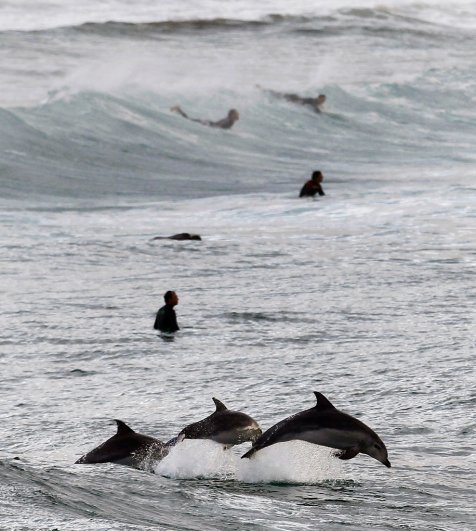 Daniel Munoz/Reuters