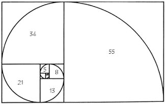 Золотое сечение в фотографии - №3