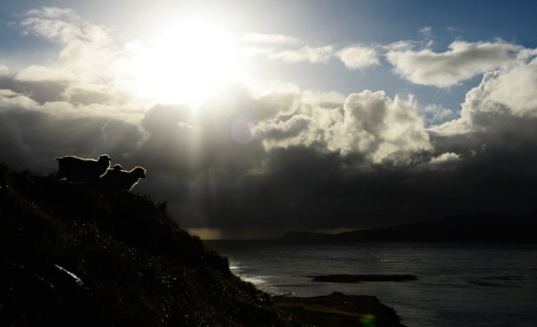 Jonathan Nackstrand/AFP/Getty Images