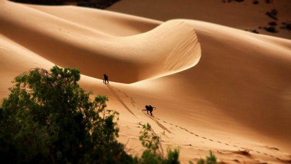 .. ИЗБРАННОЕ. (из коллекции National Geographic)