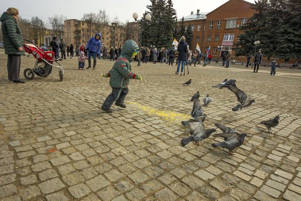 Александр Войцеховский