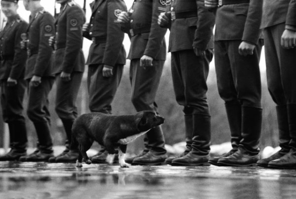 Альберт Багаутдинов. Где хозяин? 1975. Коллекция Государственного музея изобразительных искусств Республики Татарстан © Альберт Багаутдинов