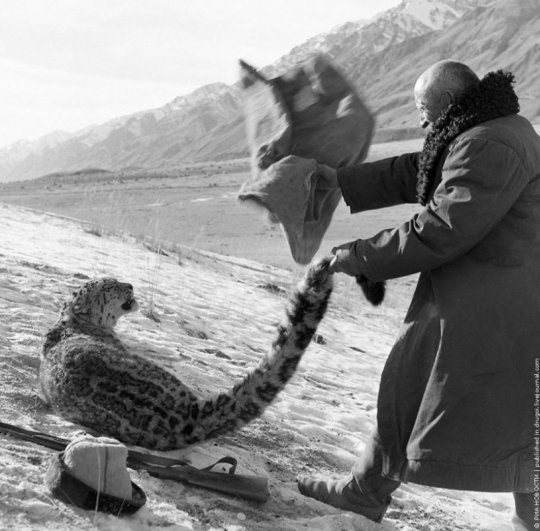 .. Охотник из Киргизии, 1966г.